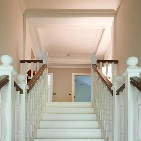 Stou Savvide - Stone Manor *